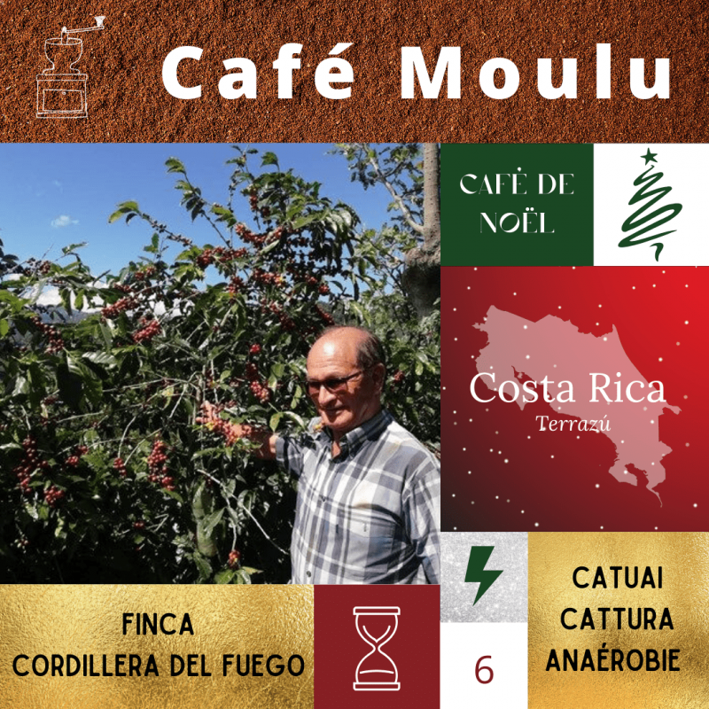 Café de Noel du Costa Rica - Moulu