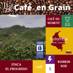 Café du Moment en grain - El Progreso