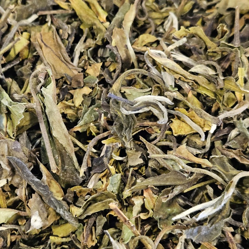 Bai Mu DAn